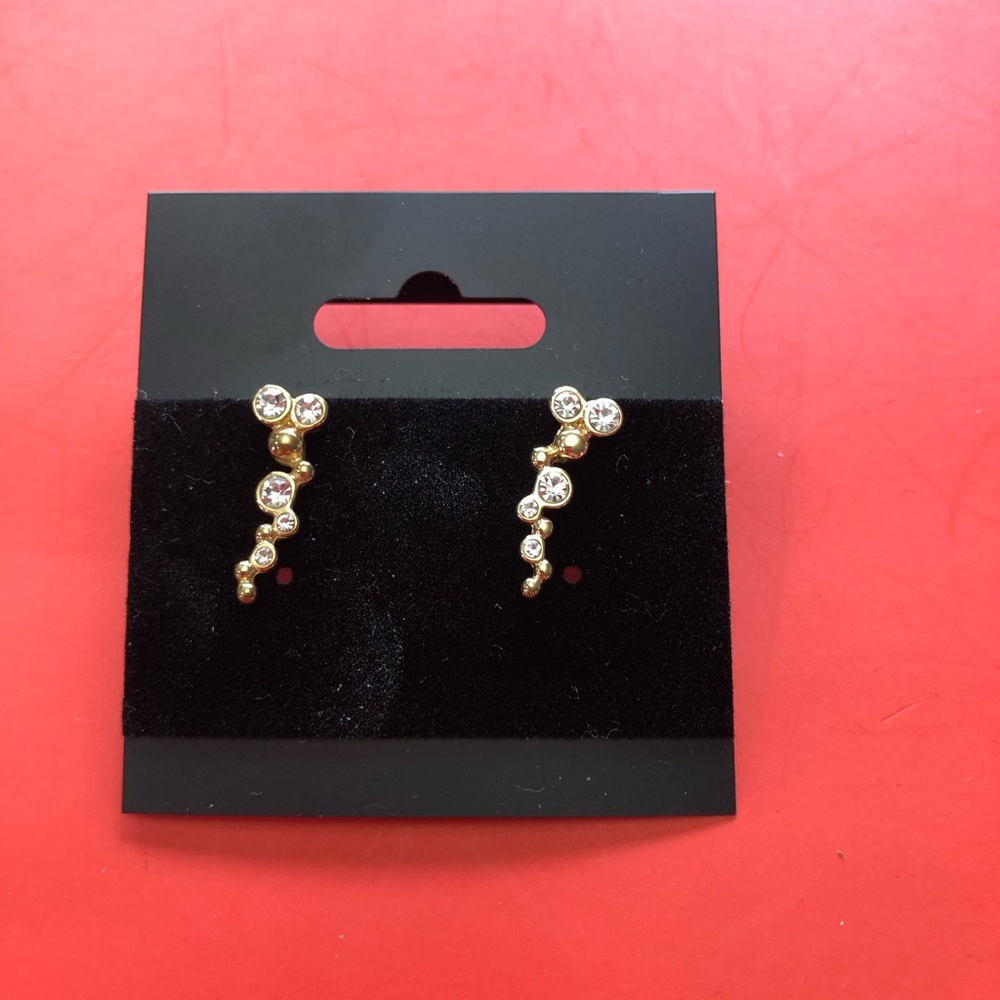 Sparkling cute earrings